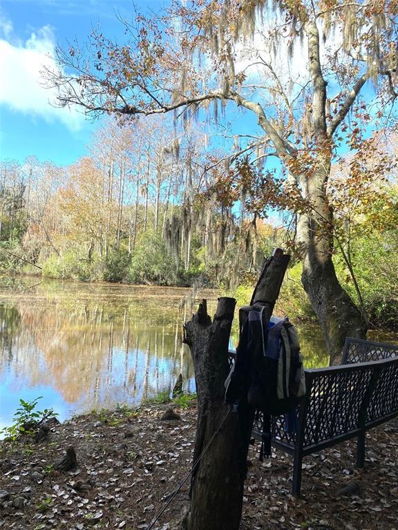 Picture of 6701 Medlar Drive, New Port Richey FL 34653