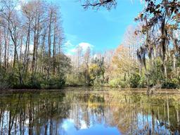 Picture of 6701 Medlar Drive, New Port Richey, FL 34653