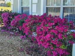 Picture of 2821 Conyers Court, Deltona, FL 32738