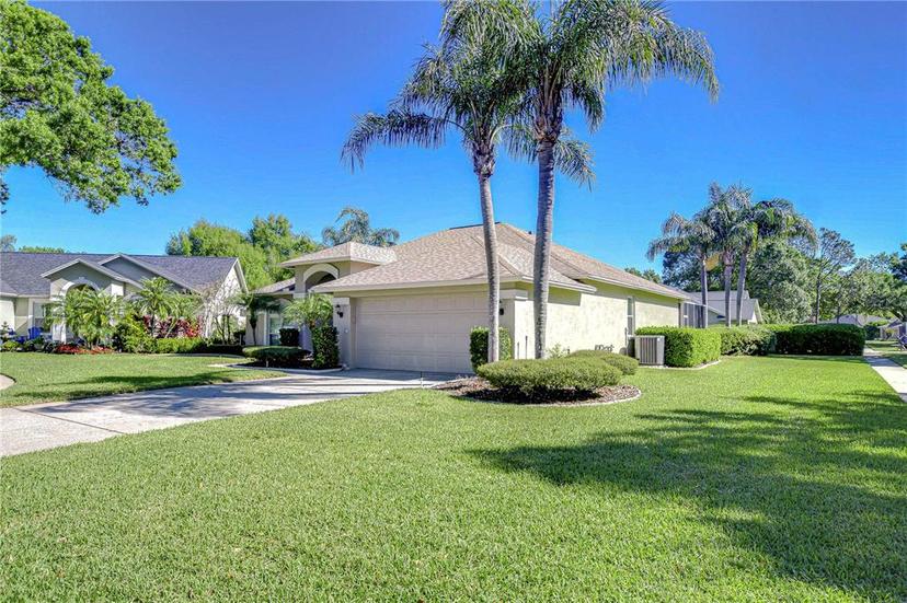 Picture of 4904 Breyer Wood Court, Valrico FL 33596