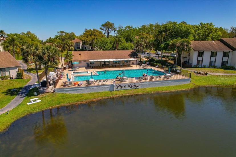 Picture of 1737 Pine Ridge Way W Unit B-1, Palm Harbor FL 34684