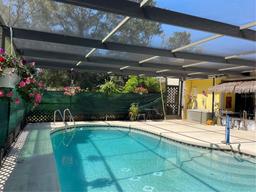Picture of 12330 Comstock Street, Spring Hill, FL 34609
