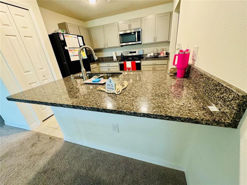 Picture of 417 Patricia Alford Drive, Haines City FL 33844