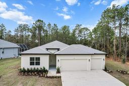 Picture of 9 Fringetree Street, Homosassa, FL 34446