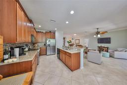 Picture of 349 Laurel Falls Drive, Apollo Beach, FL 33572