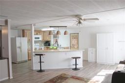 Picture of 919 Blue Heron Boulevard, Osteen, FL 32764