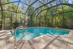 Picture of 3040 Olivia Court, Land O Lakes, FL 34638