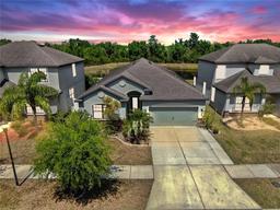 Picture of 11872 Thicket Wood Drive, Riverview, FL 33579