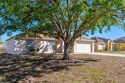 Picture of 258 Grouper Court, Kissimmee, FL 34759