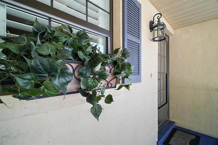 Picture of 110 N Tremain Street Unit 205, Mount Dora FL 32757