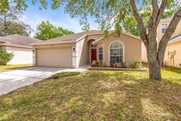 Picture of 13438 White Elk Loop, Tampa, FL 33626