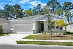 Picture of 1324 Peach Creek Drive, Osteen, FL 32764