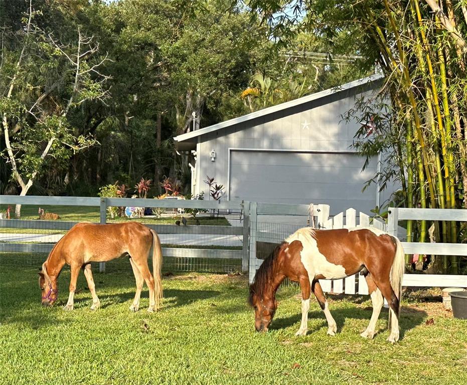 Picture of 2070 59Th Street, Sarasota, FL 34243