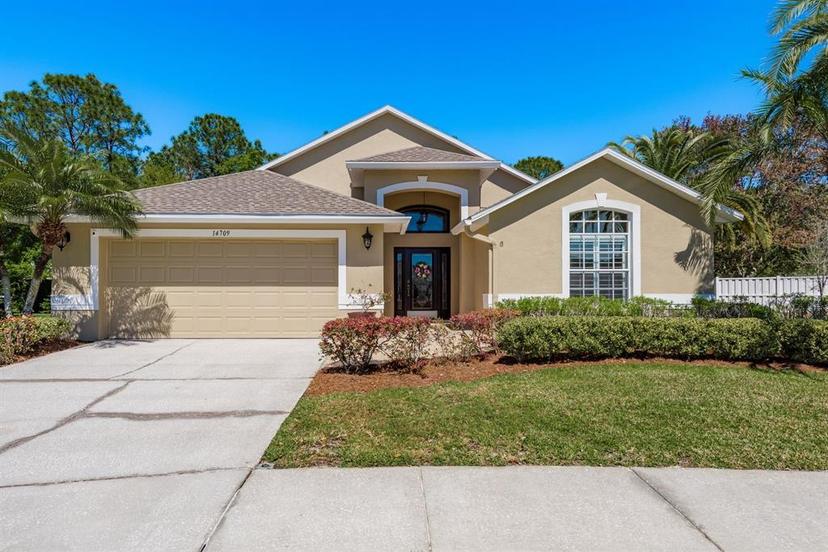 Picture of 14709 Coral Berry Drive, Tampa FL 33626