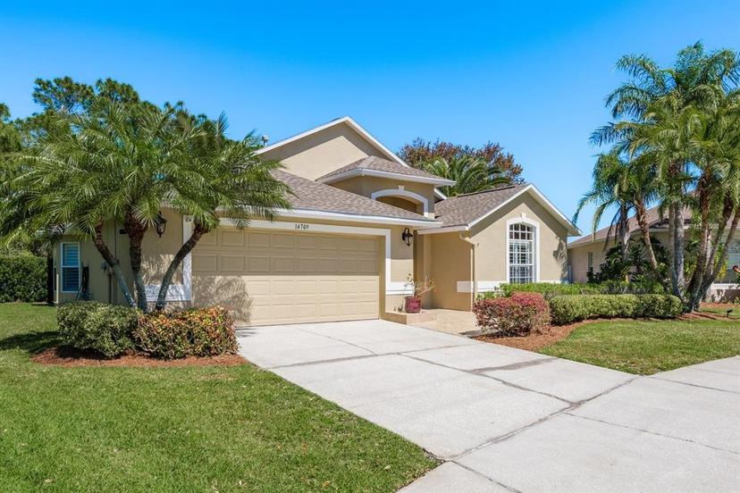 Picture of 14709 Coral Berry Drive, Tampa FL 33626