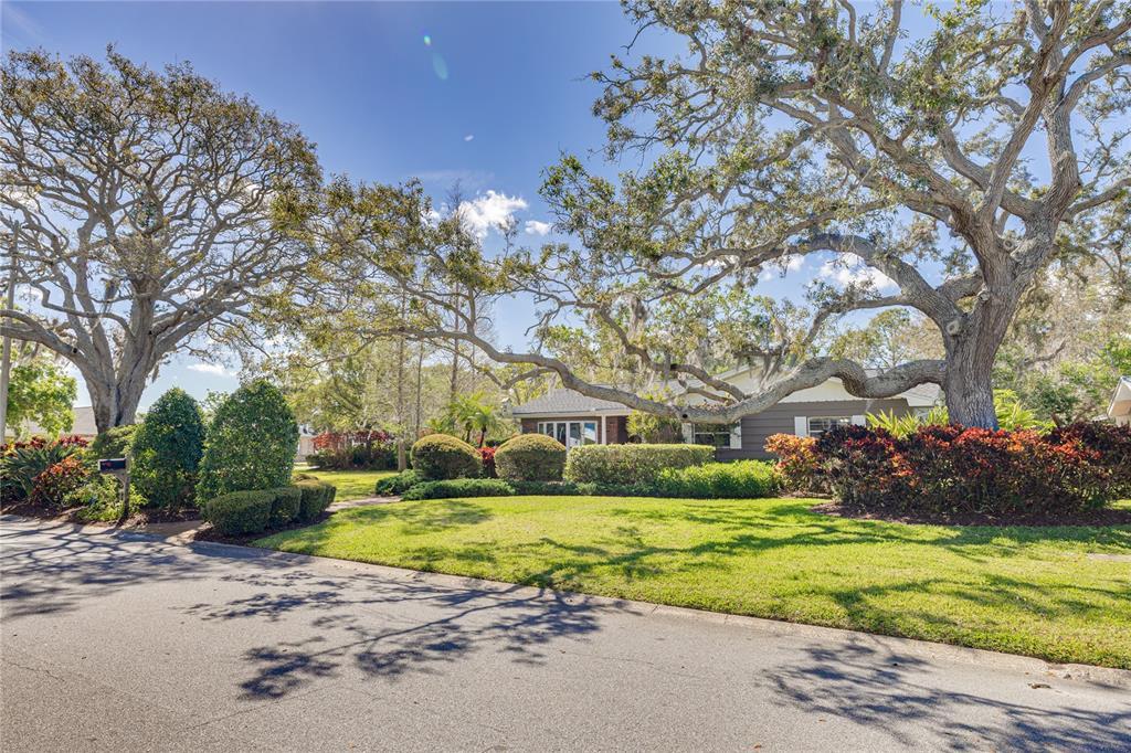 Picture of 3187 San Mateo Street, Clearwater, FL 33759