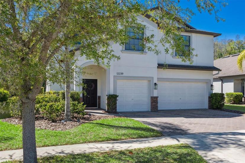 Picture of 12239 Crestridge Loop, Trinity FL 34655