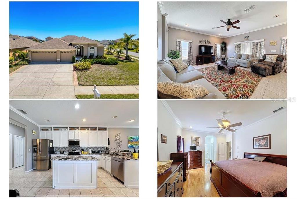 Picture of 2634 Ravendale Lane, Holiday, FL 34691