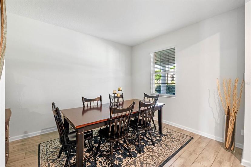 Picture of 885 Carmillion Court, Groveland FL 34736