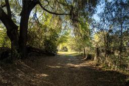 Picture of 2570 SE Highway 42, Summerfield, FL 34491