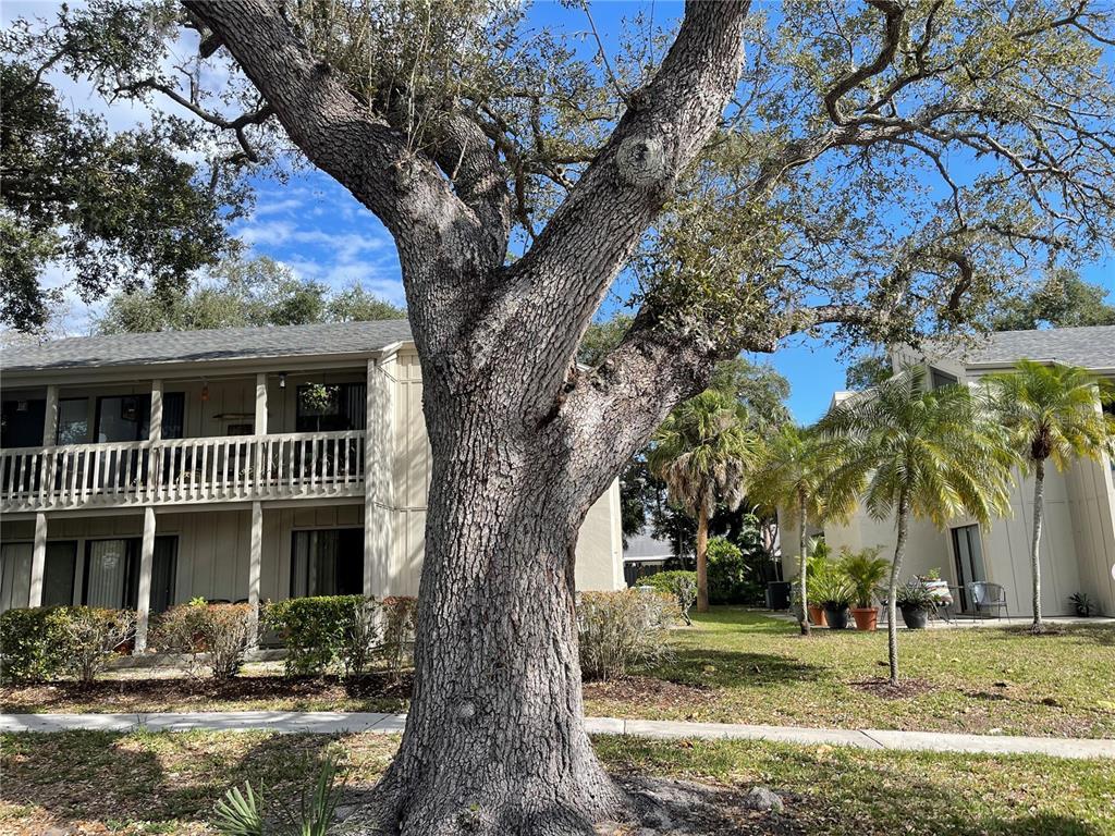 Picture of 2224 Bahia Vista Street Unit E6, Sarasota, FL 34239