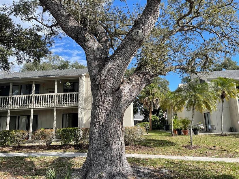Picture of 2224 Bahia Vista Street Unit E6, Sarasota FL 34239