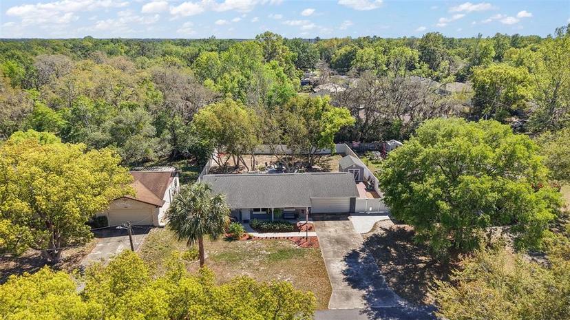 Picture of 3860 Branch Avenue, Mount Dora FL 32757