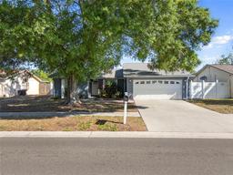 Picture of 8024 Timberlane Drive, Tampa, FL 33615