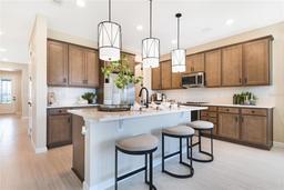 Picture of 1011 Wisteria Way, Dundee, FL 33838