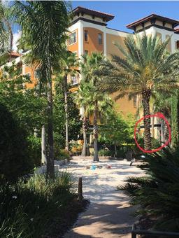 Picture of 12544 Floridays Resort Drive Unit 103B, Orlando, FL 32821
