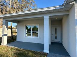 Picture of 137 W G H Washington Street, Apopka, FL 32703
