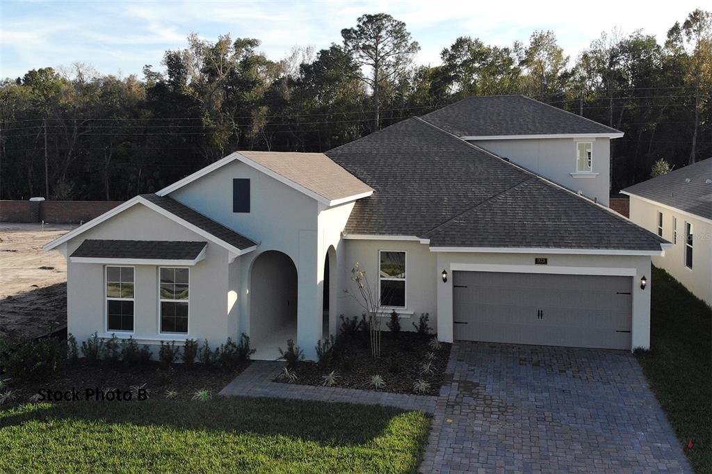 Picture of 9558 Brave Buck Avenue, Land O Lakes, FL 34638