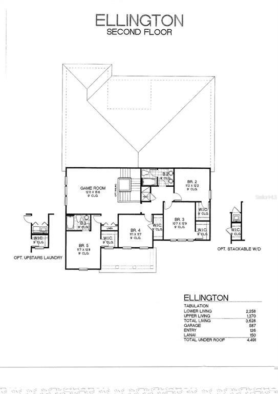 Picture of 9572 Brave Buck Avenue, Land O Lakes FL 34638