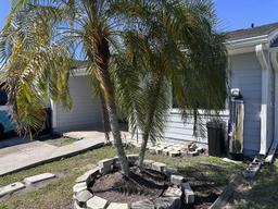 Picture of 5835 Talavera Street, Orlando, FL 32807