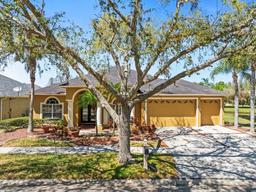 Picture of 19230 Wind Dancer Street, Lutz, FL 33558