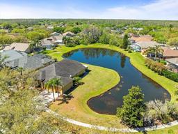 Picture of 19230 Wind Dancer Street, Lutz, FL 33558