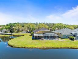 Picture of 19230 Wind Dancer Street, Lutz, FL 33558