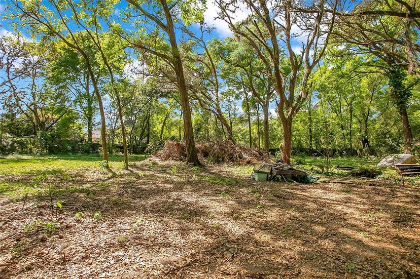 Picture of 1120 Sheeler Avenue, Apopka FL 32703