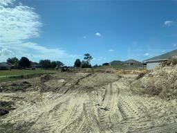 Picture of 310 W Rexford Drive, Beverly Hills, FL 34465