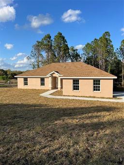 Picture of 11125 SE 119Th Street, Belleview, FL 34420