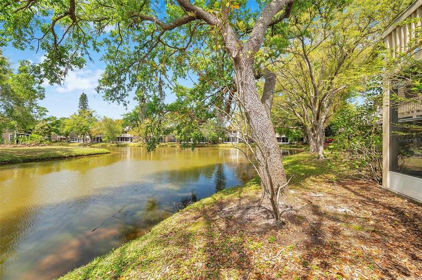Picture of 9046 Lake Place Lane Unit 9046, Tampa FL 33634