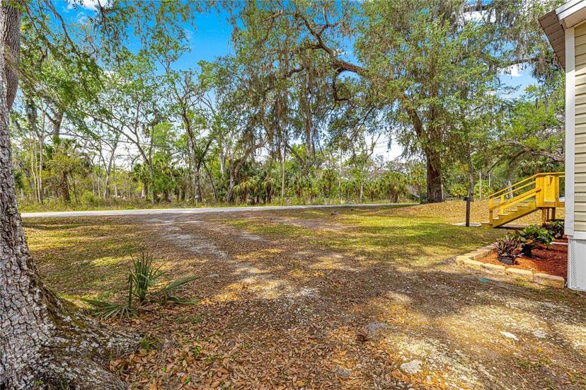 Picture of 2298 Cr 423, Lake Panasoffkee FL 33538