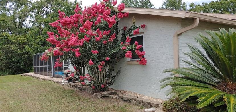 Picture of 4233 Grouper Lane, New Port Richey FL 34653