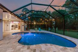 Picture of 204 Silver Moss Lane, Tarpon Springs, FL 34688