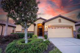 Picture of 342 Cedar Falls Drive, Apollo Beach, FL 33572
