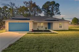 Picture of 10 Malauka Run Court, Ocklawaha, FL 32179
