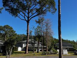 Picture of 4251 Pinebark Avenue Unit 17-3, Orlando, FL 32811