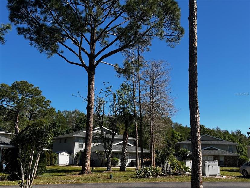 Picture of 4251 Pinebark Avenue Unit 17-3, Orlando FL 32811