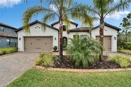Picture of 19611 Cypress Bridge Drive, Odessa, FL 33556