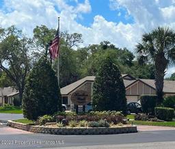 Picture of 7375 Crestwood Dr, Weeki Wachee, FL 34613